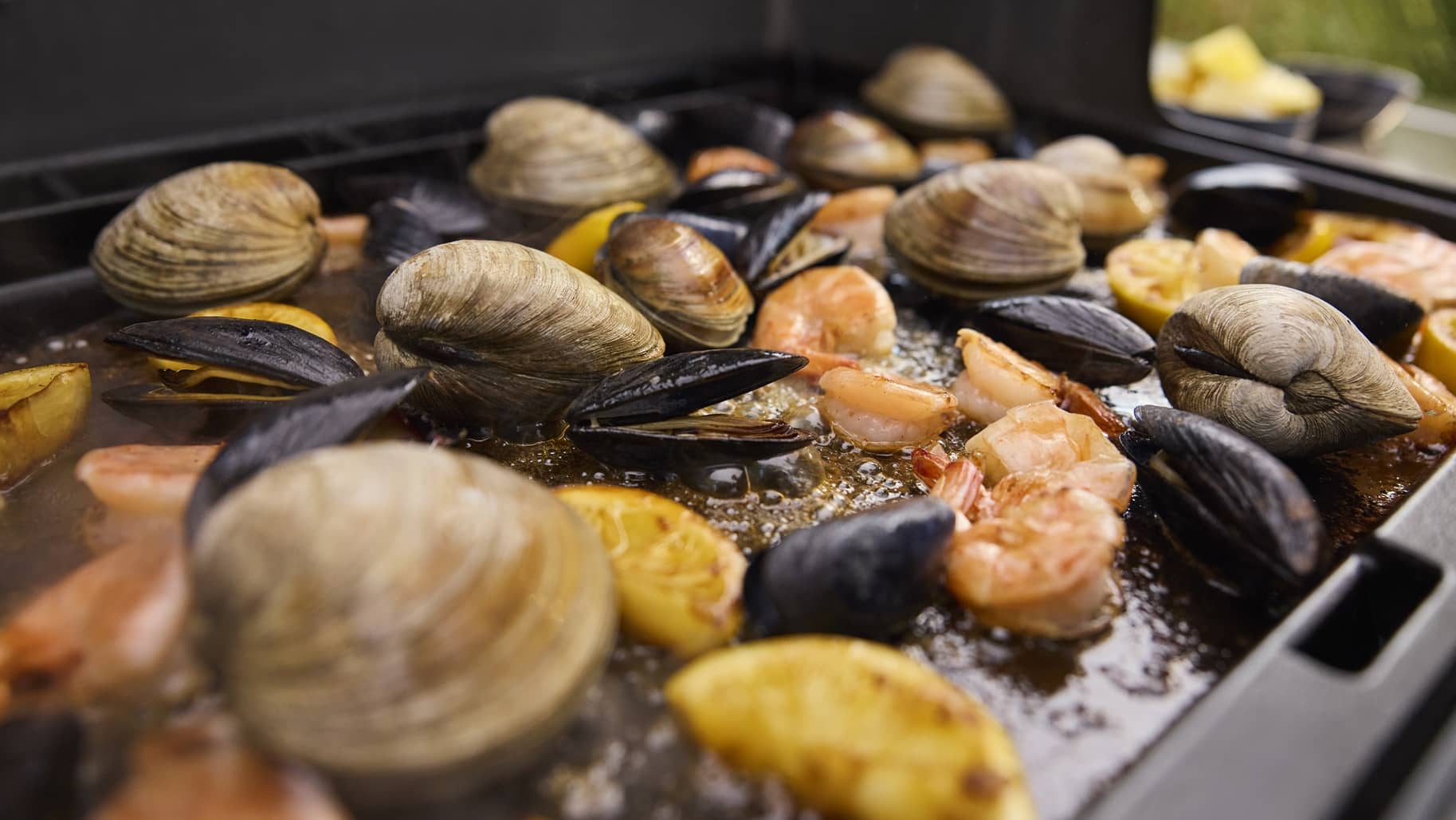 WEBER Genesis® E-330WR Gasgrill Stealth® Edition