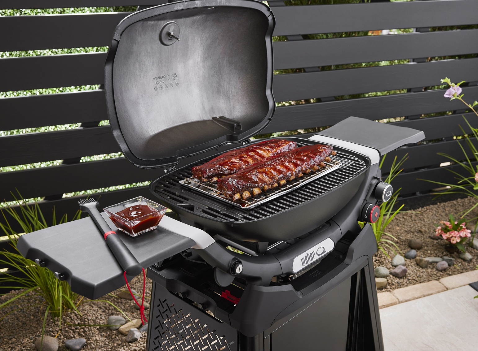 Weber Gasgrill Q 2800N